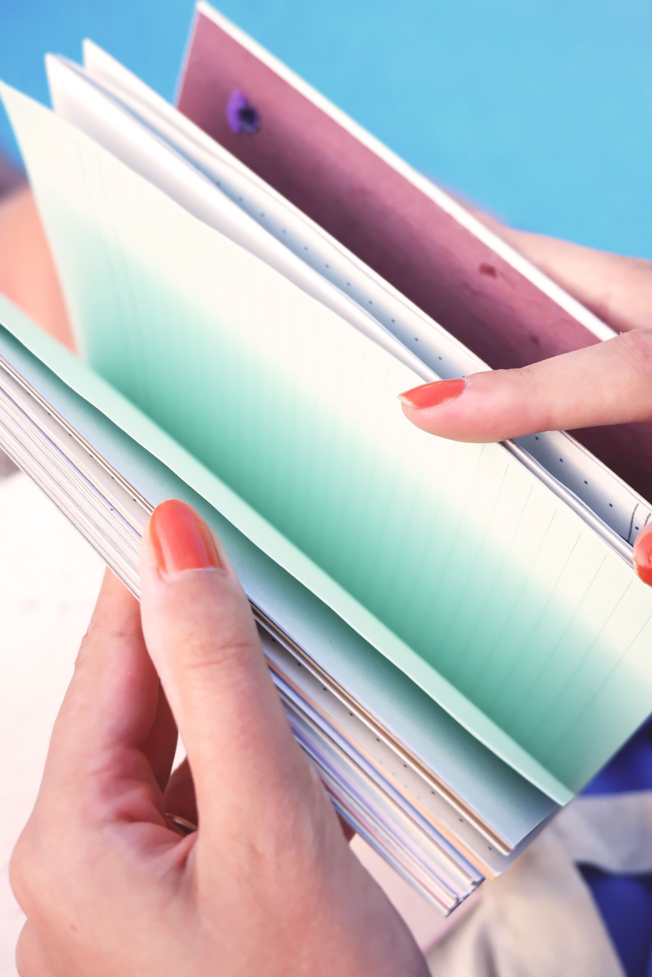 Diário de Bordo ✨ Dream Travel Repeat ✨