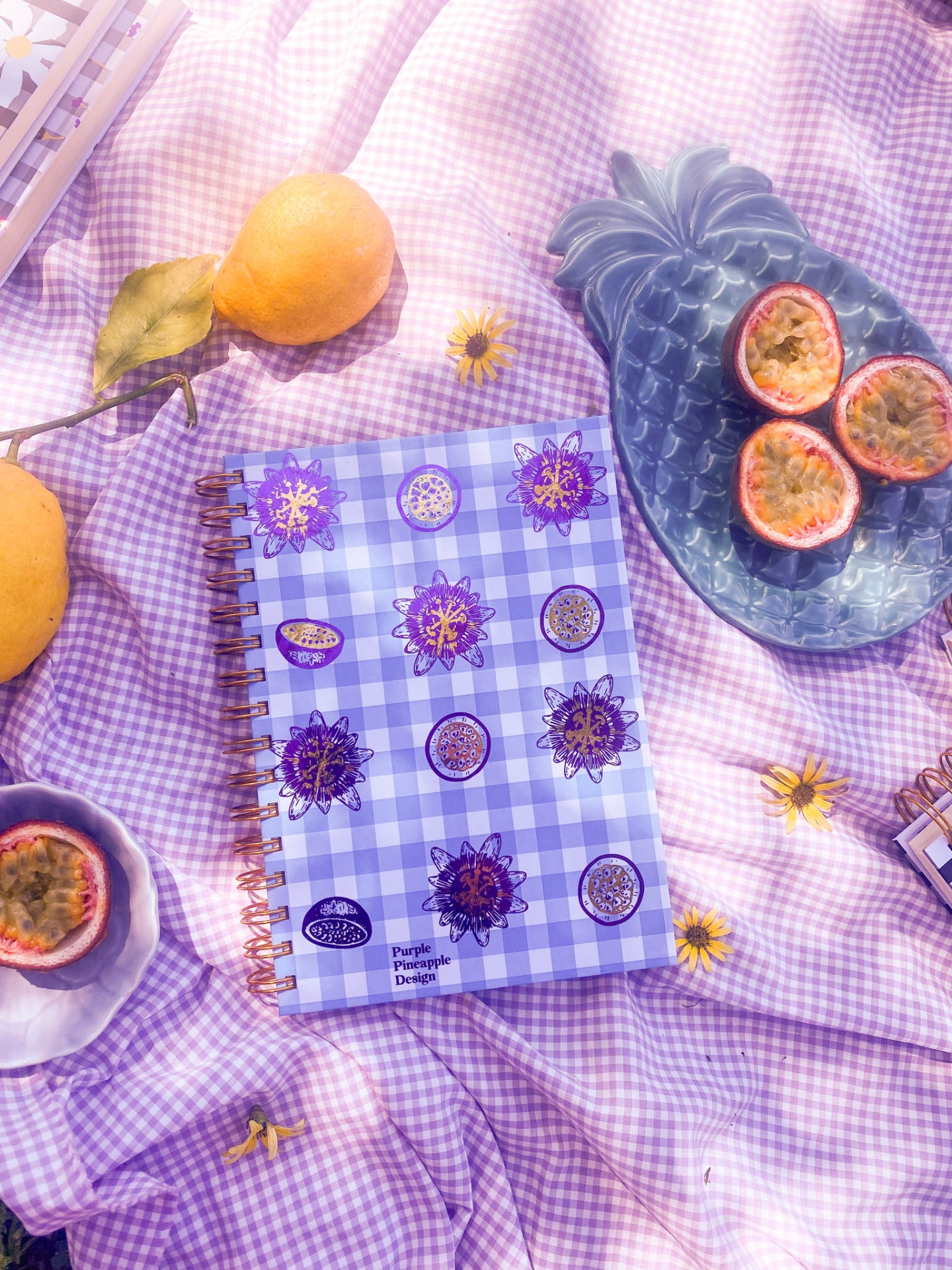 Vichy Azul Maracujá 💜 Bullet journal