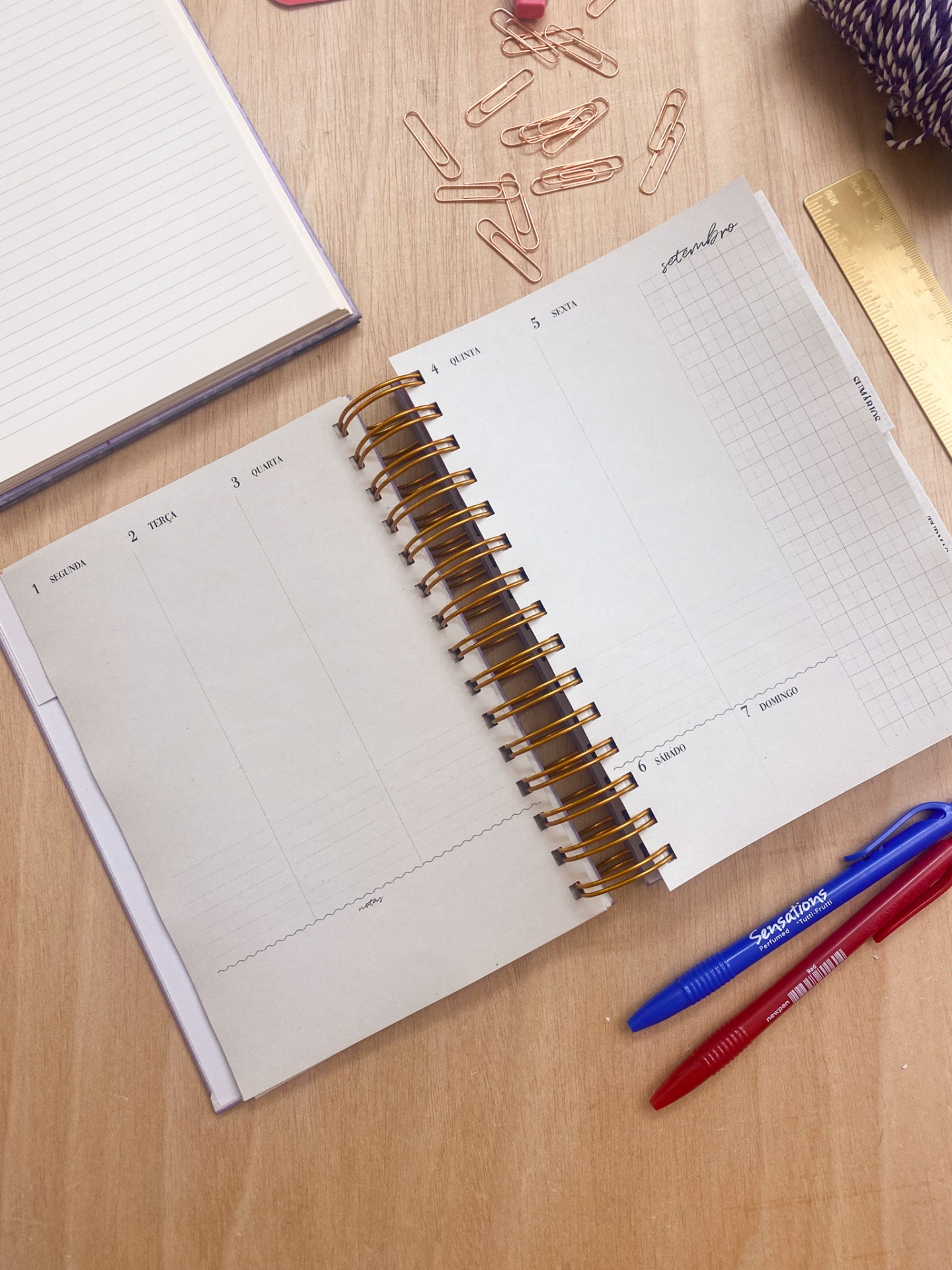 Agenda de Professor 2025/2026 🌹 Liberdade em Flor 💖 A4 e A5