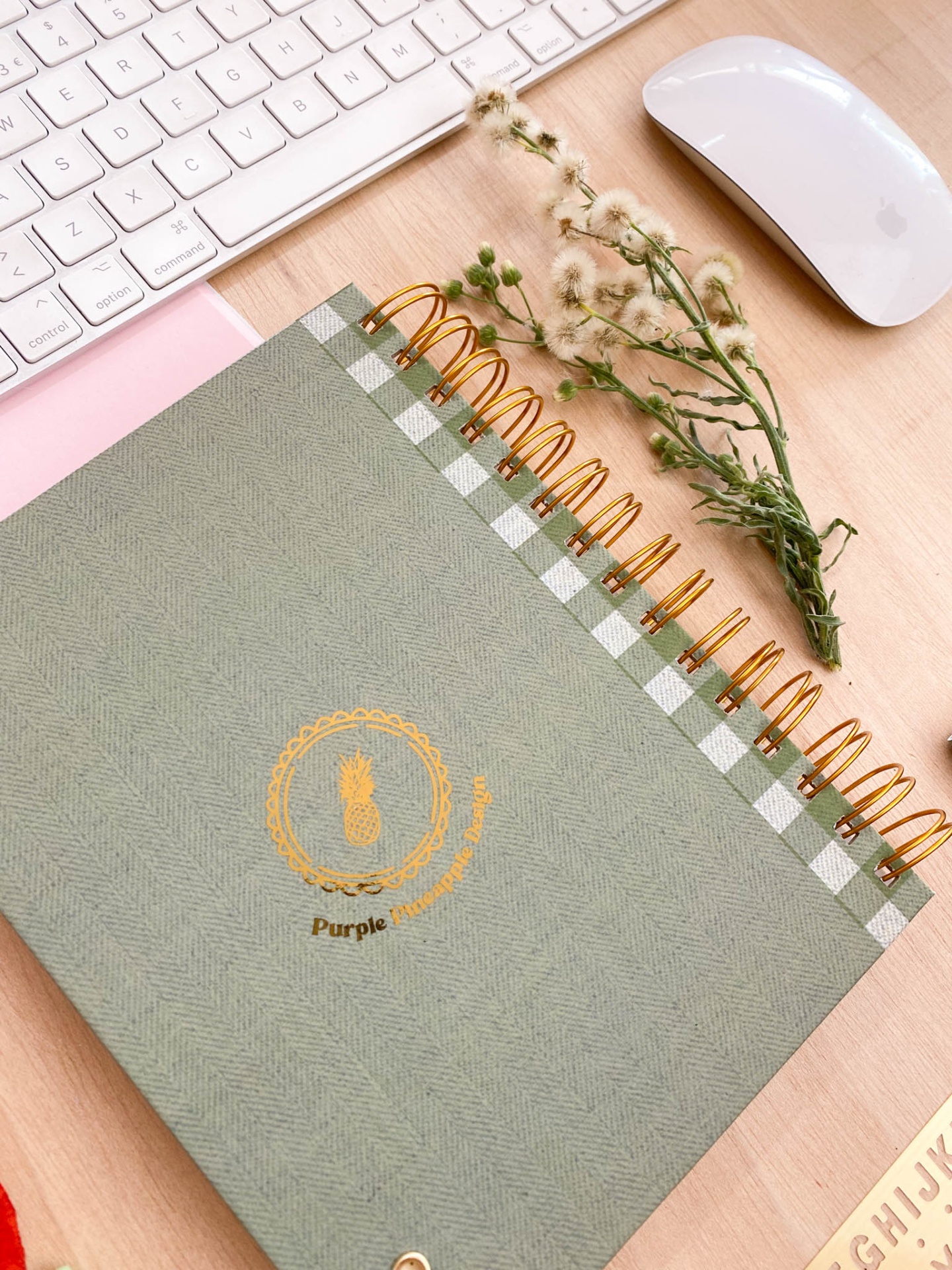 Agenda Semanal 2026 💚 Vichy Verde