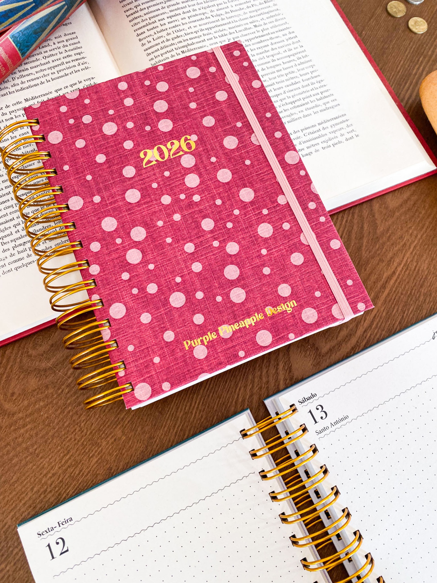 Agenda Diária Sem Horários 🍒 Amélie Vermelha ❤️ 2026 Pautada ou Bullet A5 e A6