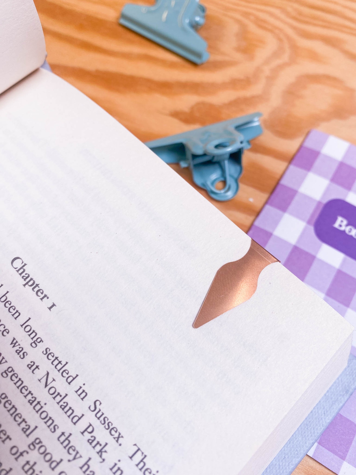 Marca páginas metálicos rose gold