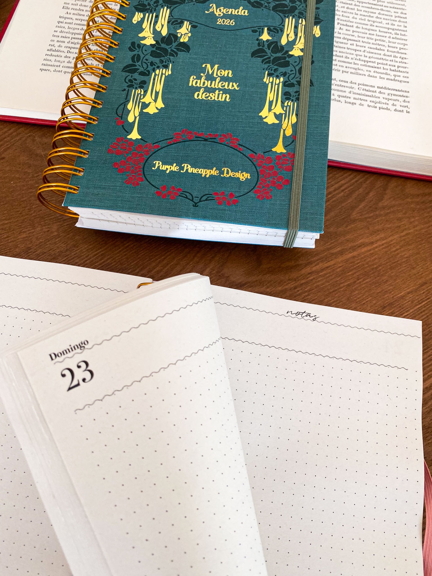 Agenda Diária Sem Horários 🍒 Amélie Verde 💚 2026 Pautada ou Bullet A5 e A6