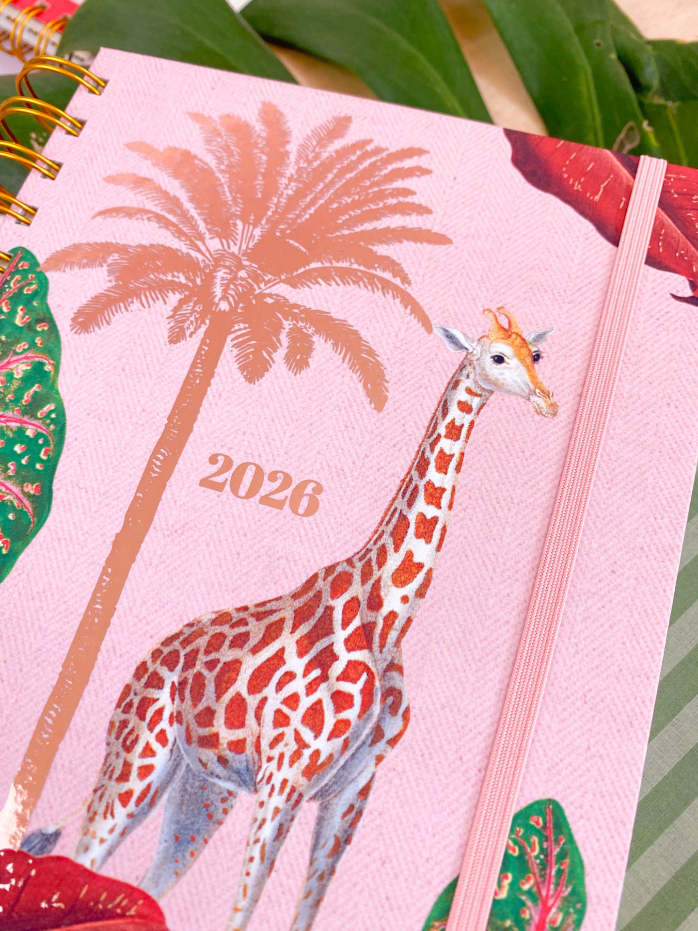 Agenda Semanal 2026 🩷 Girafa 🦒