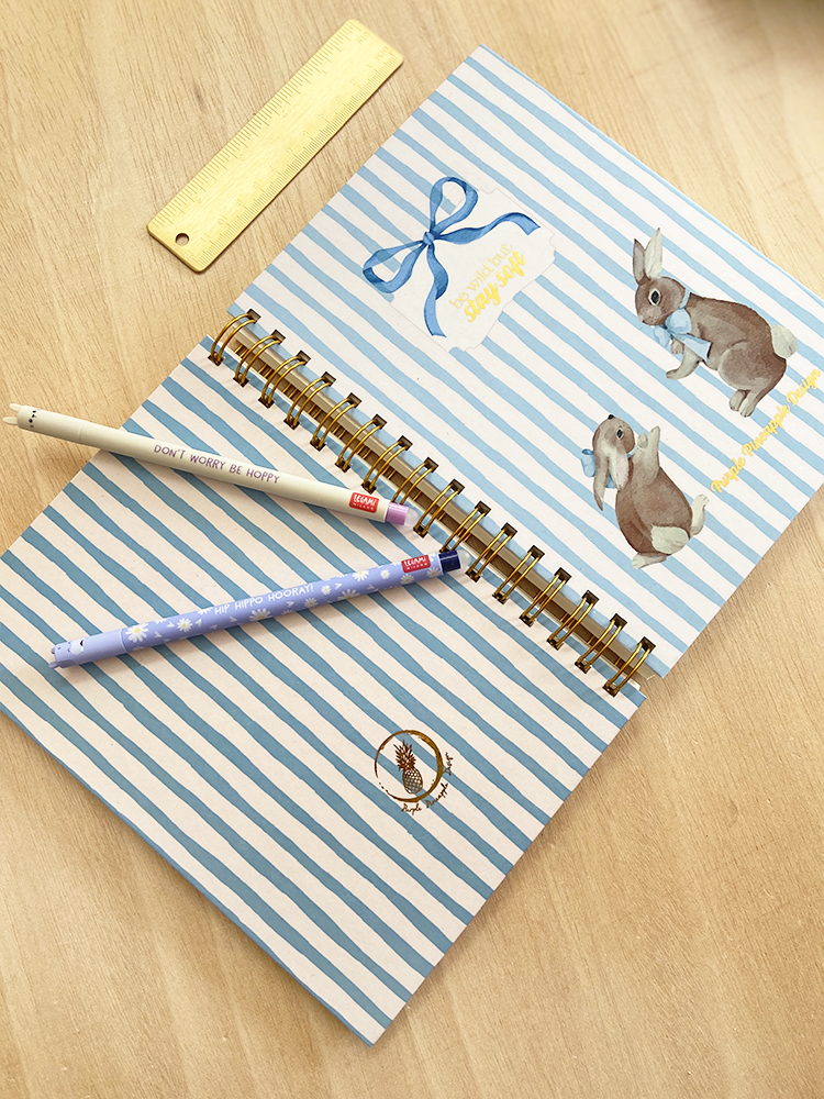 Stay soft 🐇 Diário de Gratidão