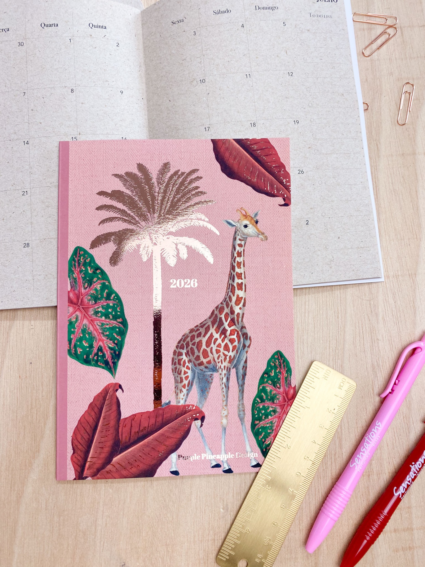 Agenda Mensal 2026 🩷 Girafa 🦒