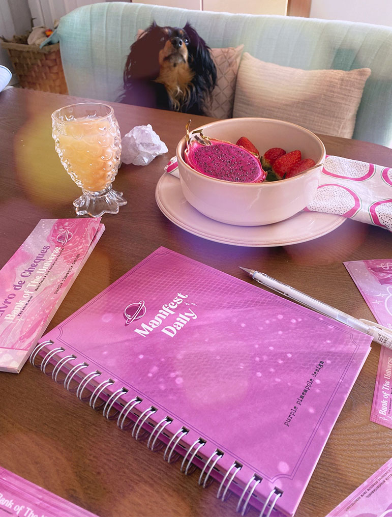 ✩ Caderno Manifest Daily ✩