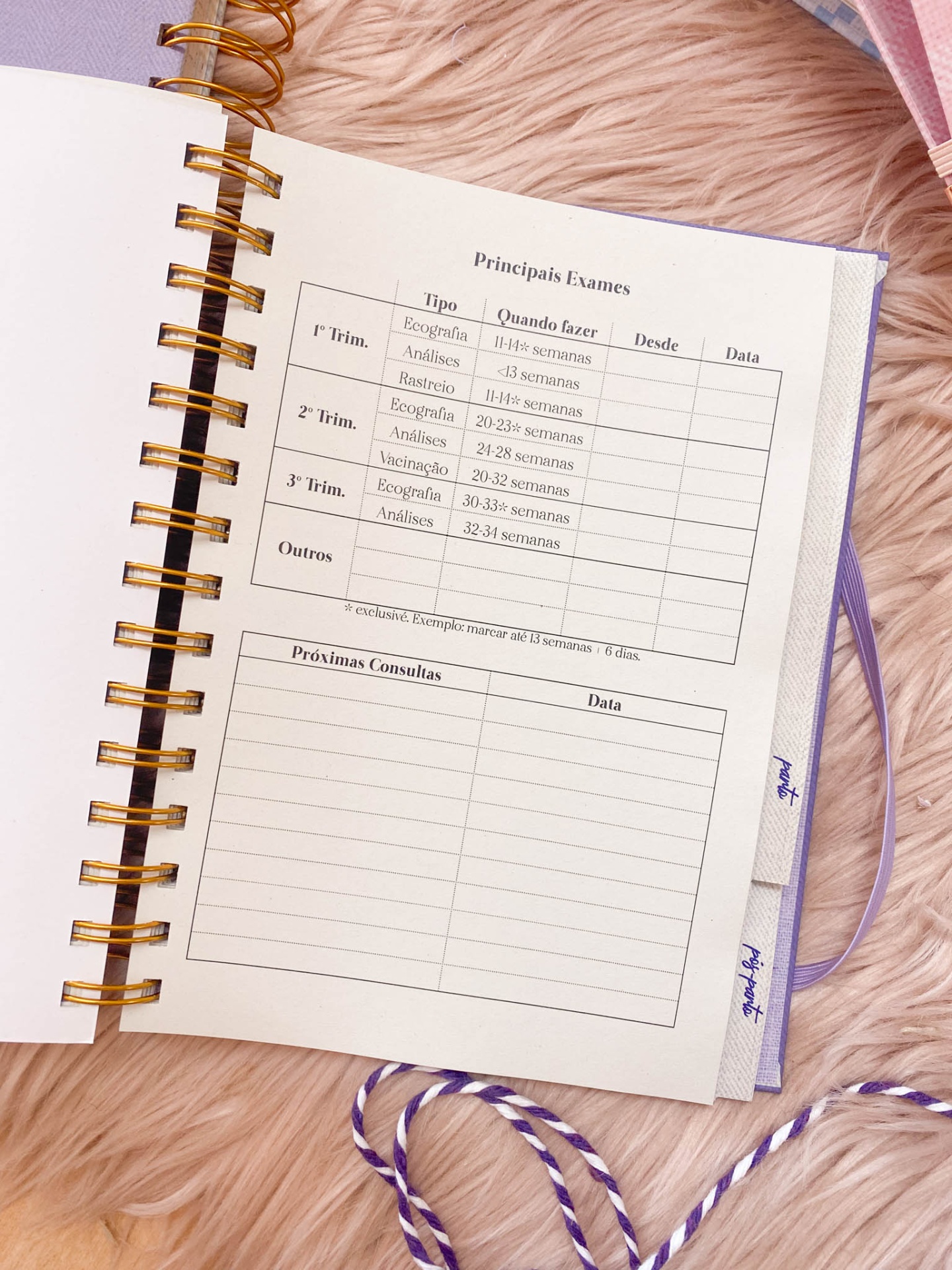 Agenda de grávida 💜🎀