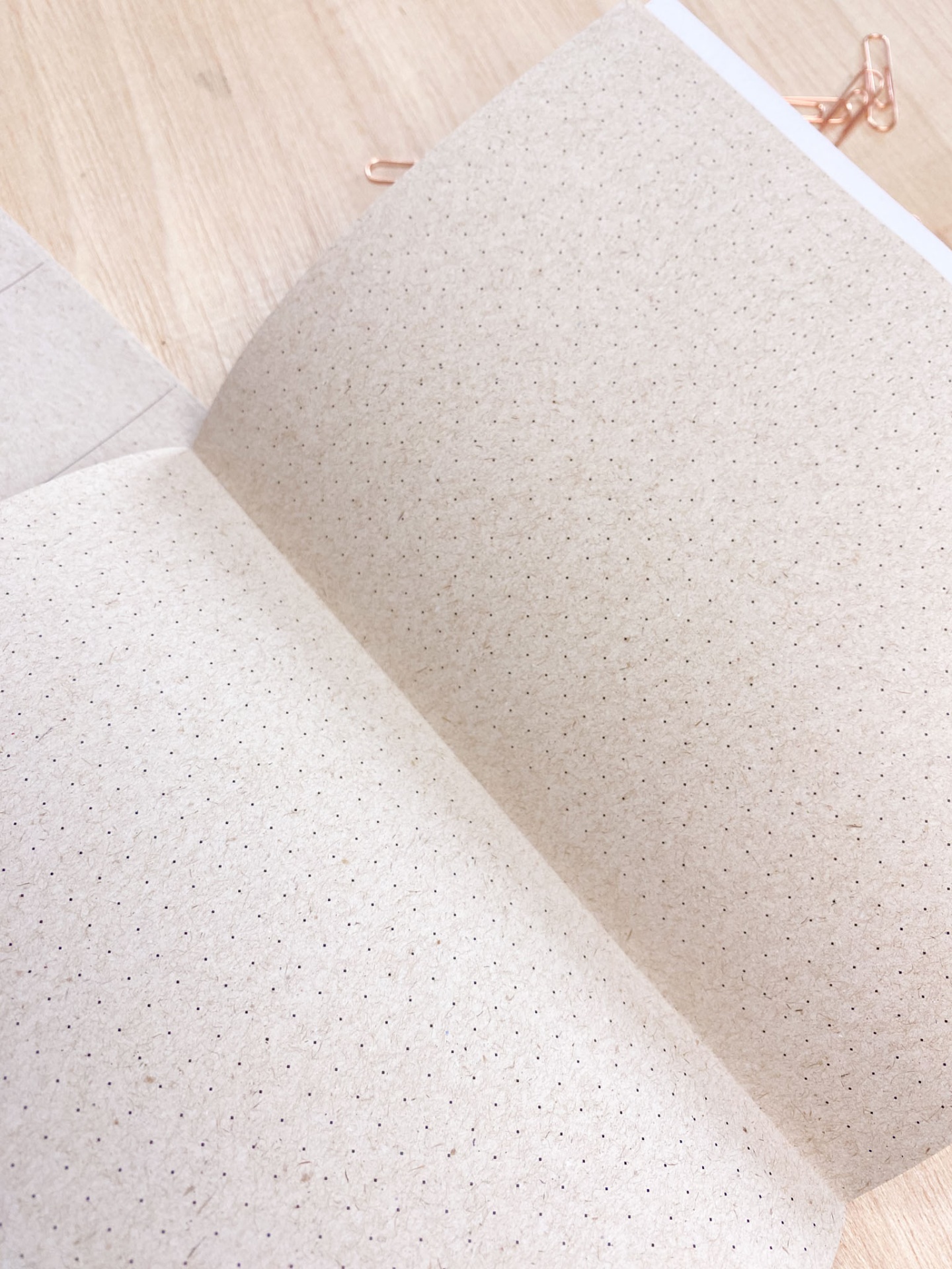 Agenda Mensal 2026 🍂 My Favorite Season