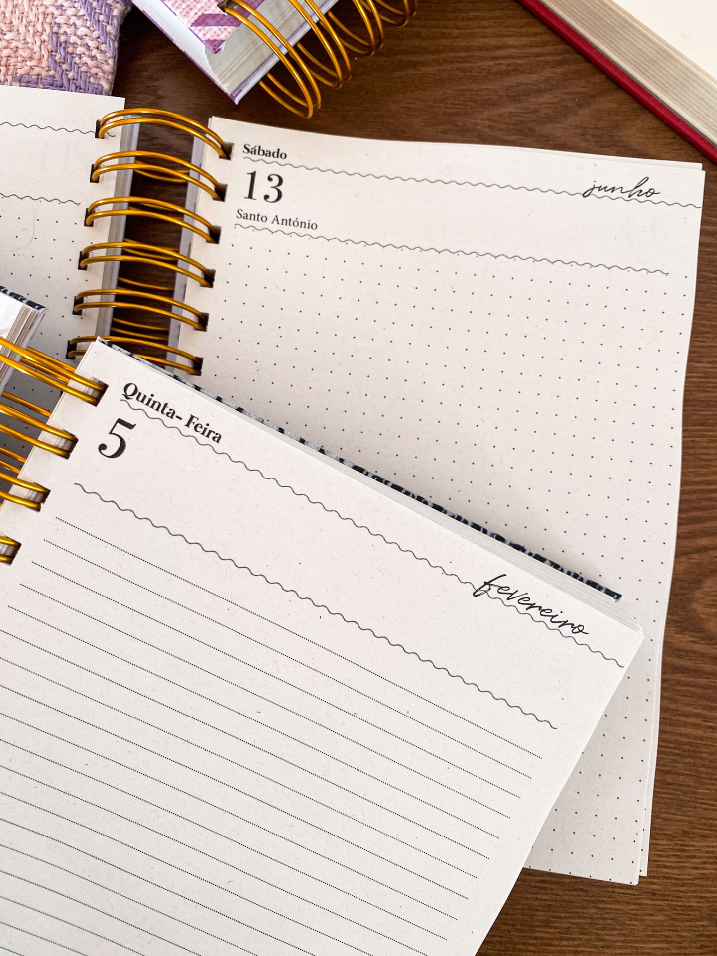 Agenda Diária Sem Horários 🍒 Amélie Vermelha ❤️ 2026 Pautada ou Bullet A5 e A6