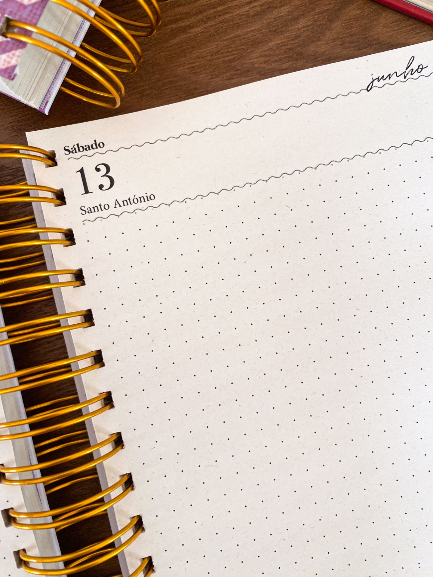 Agenda Diária Sem Horários 🍒 Amélie Vermelha ❤️ 2026 Pautada ou Bullet A5 e A6