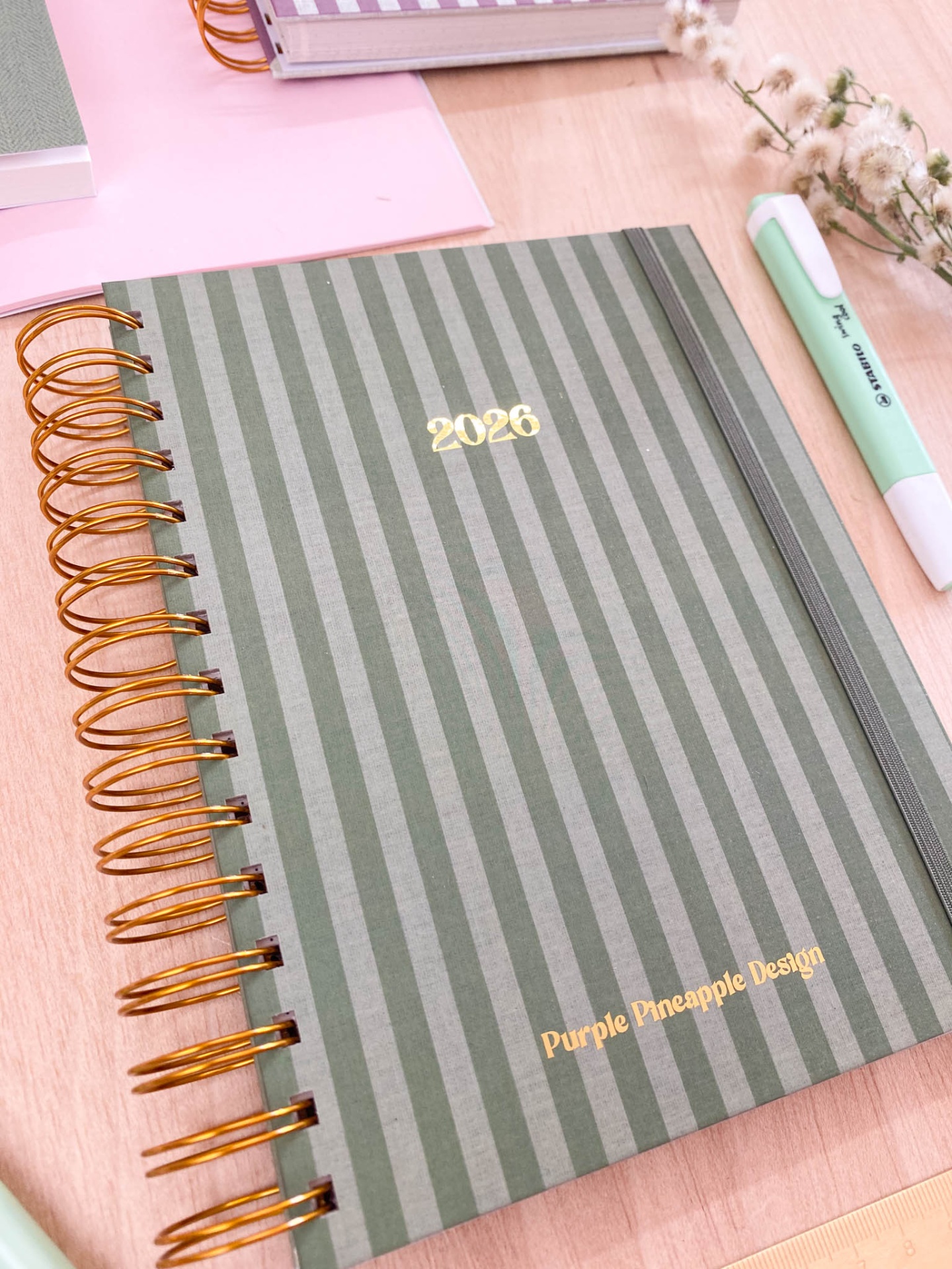 Agenda Semanal 2026 💚 Riscas verde