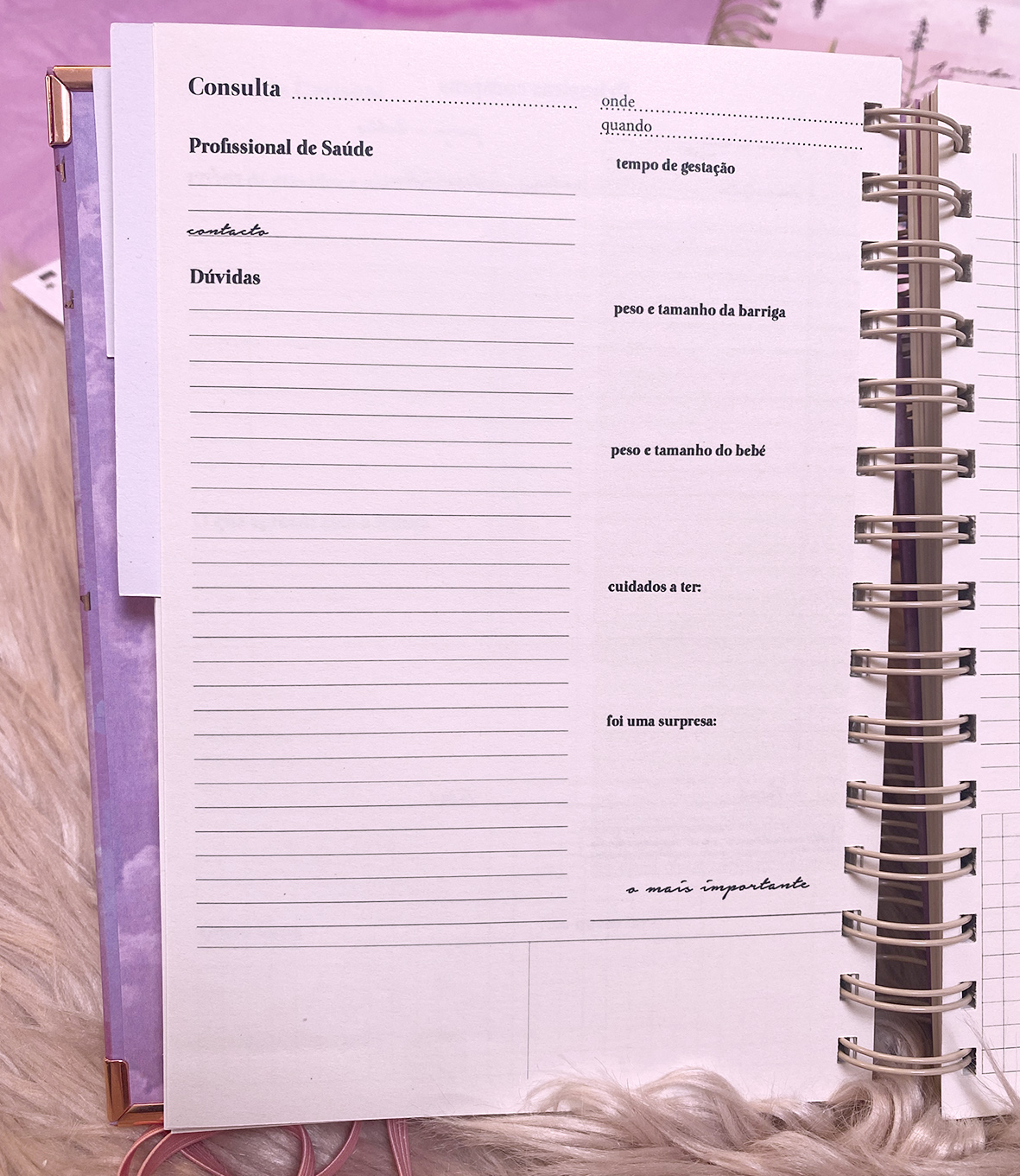 Agenda de grávida — A minha melhor aventura