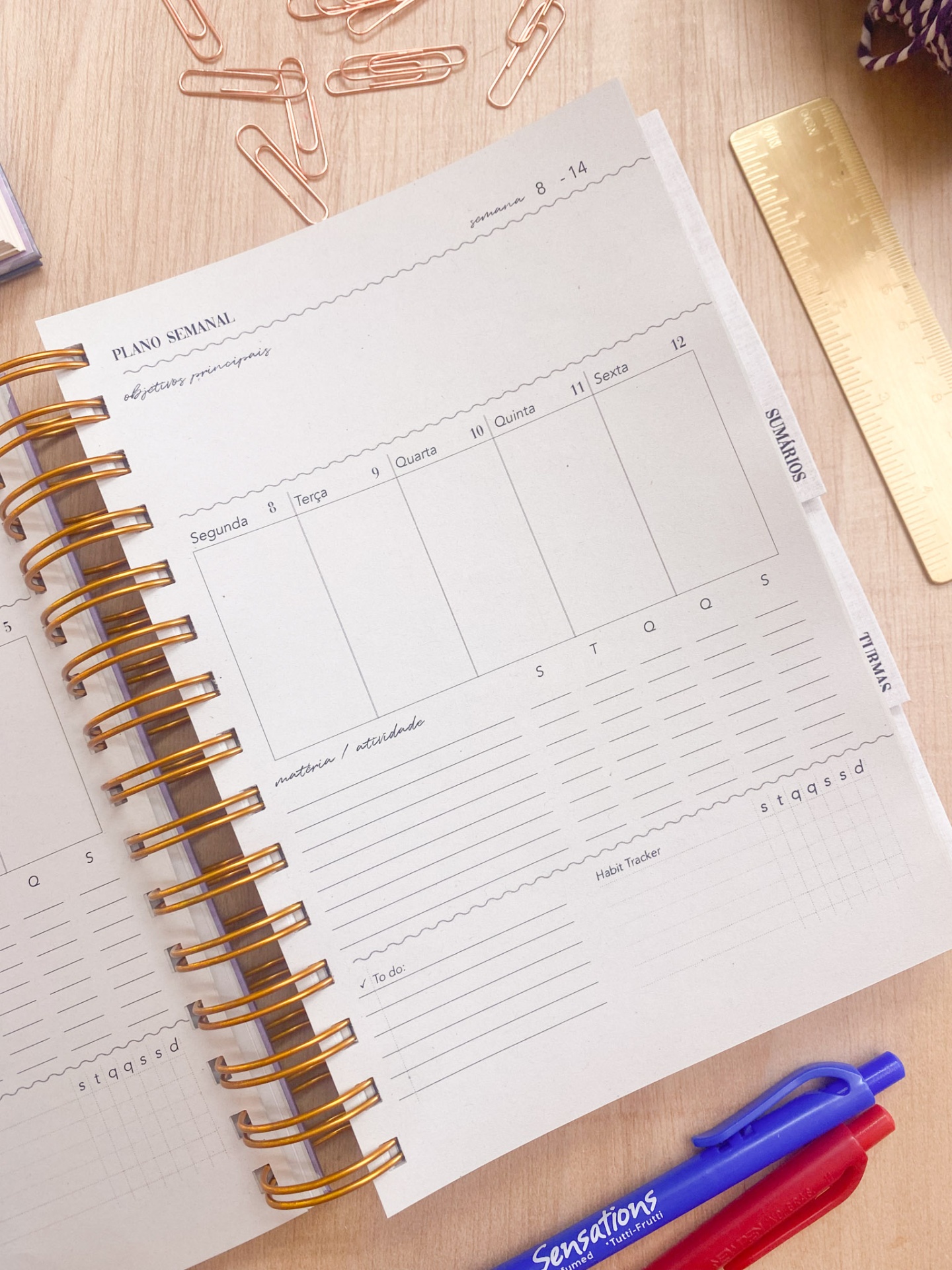 Agenda de Professor 2025/2026 🌹 Liberdade em Flor 💖 A4 e A5