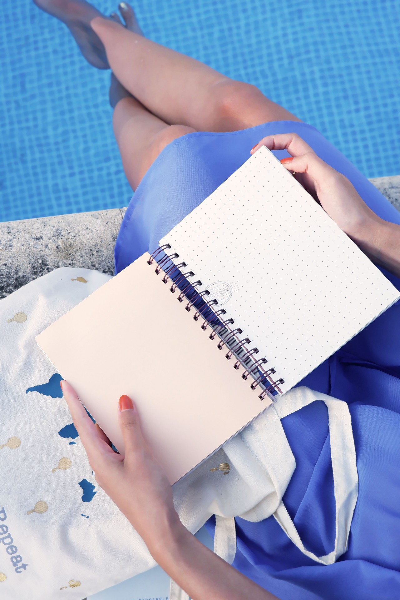 Diário de Bordo ✨ Dream Travel Repeat ✨