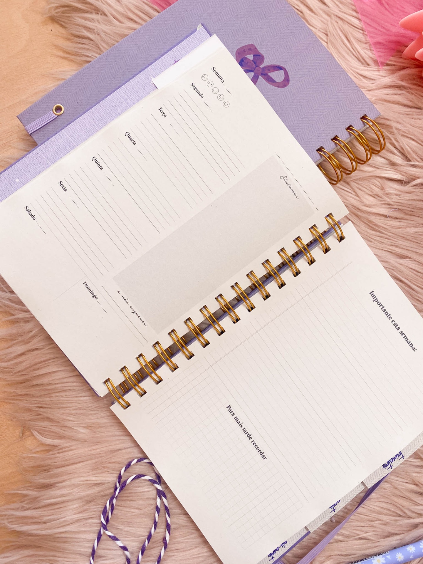 Agenda de grávida 💜🎀