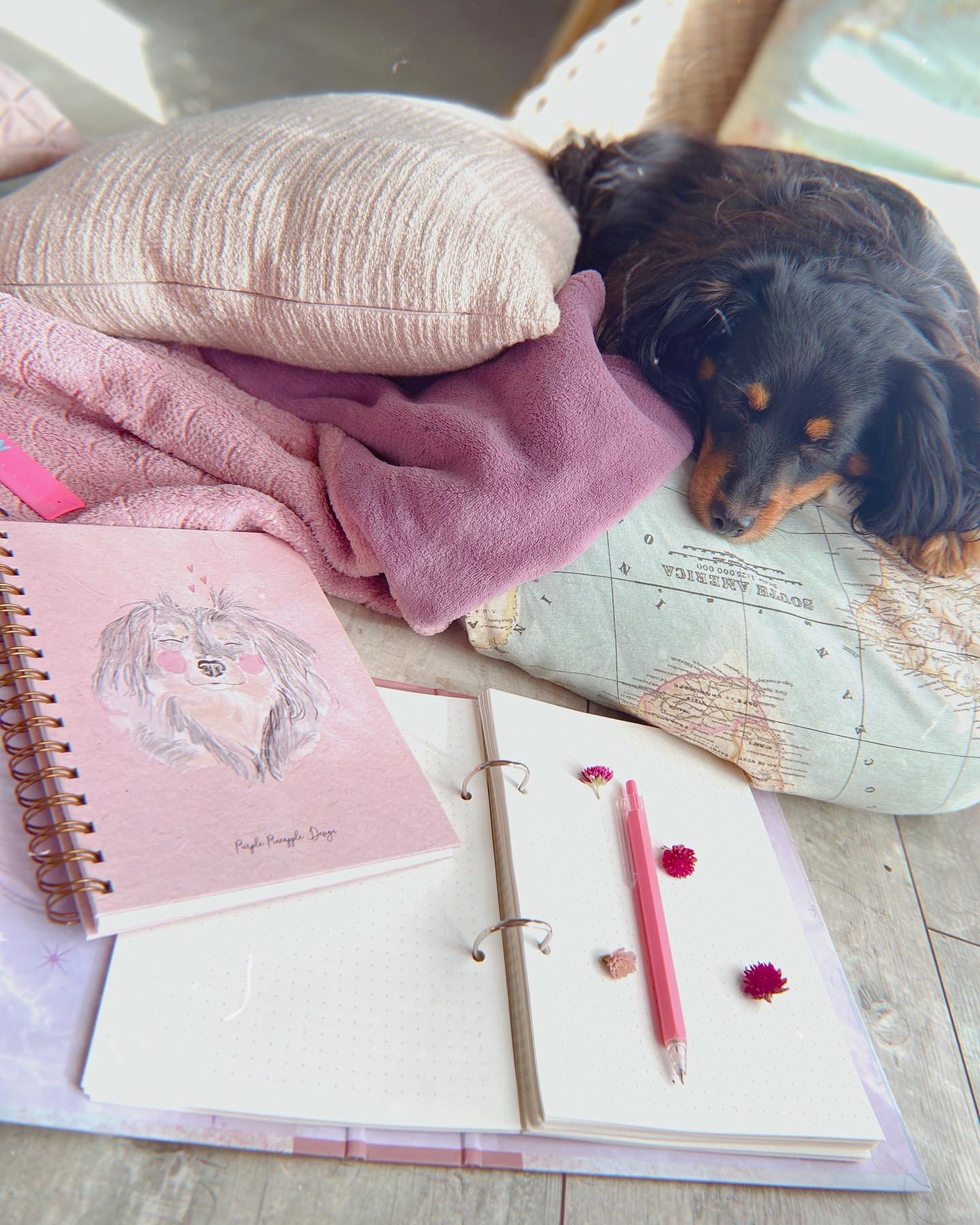 ✧ Cadela Minnie ✧ Bullet Journal