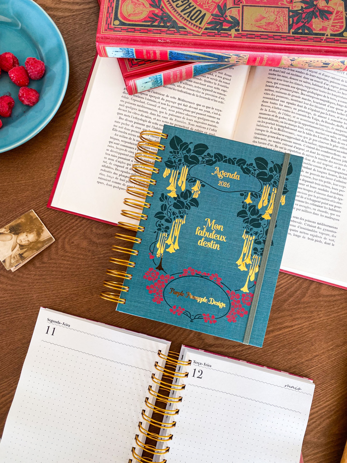 Agenda Diária Sem Horários 🍒 Amélie Verde 💚 2026 Pautada ou Bullet A5 e A6