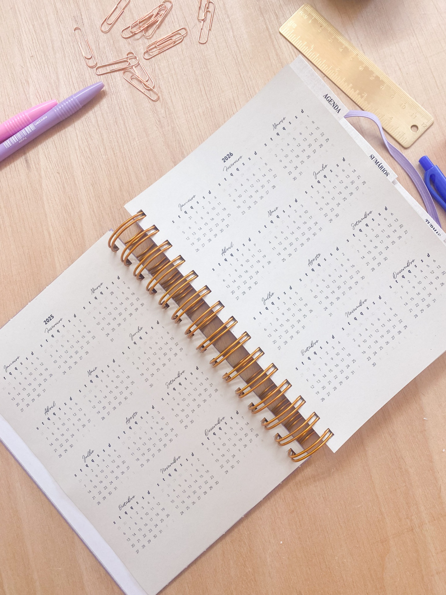 Agenda de Professor 2025/2026 🌹 Liberdade em Flor 💖 A4 e A5