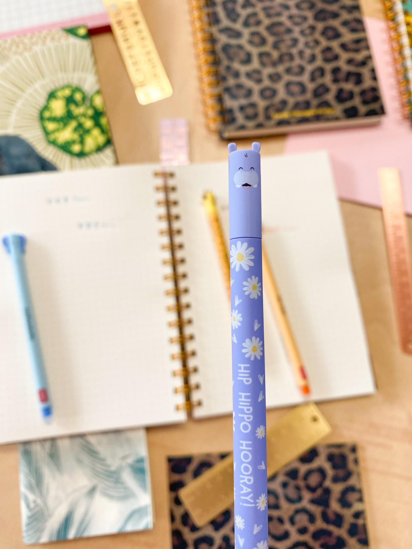 Hipopótamo 🦛  Caneta apagável