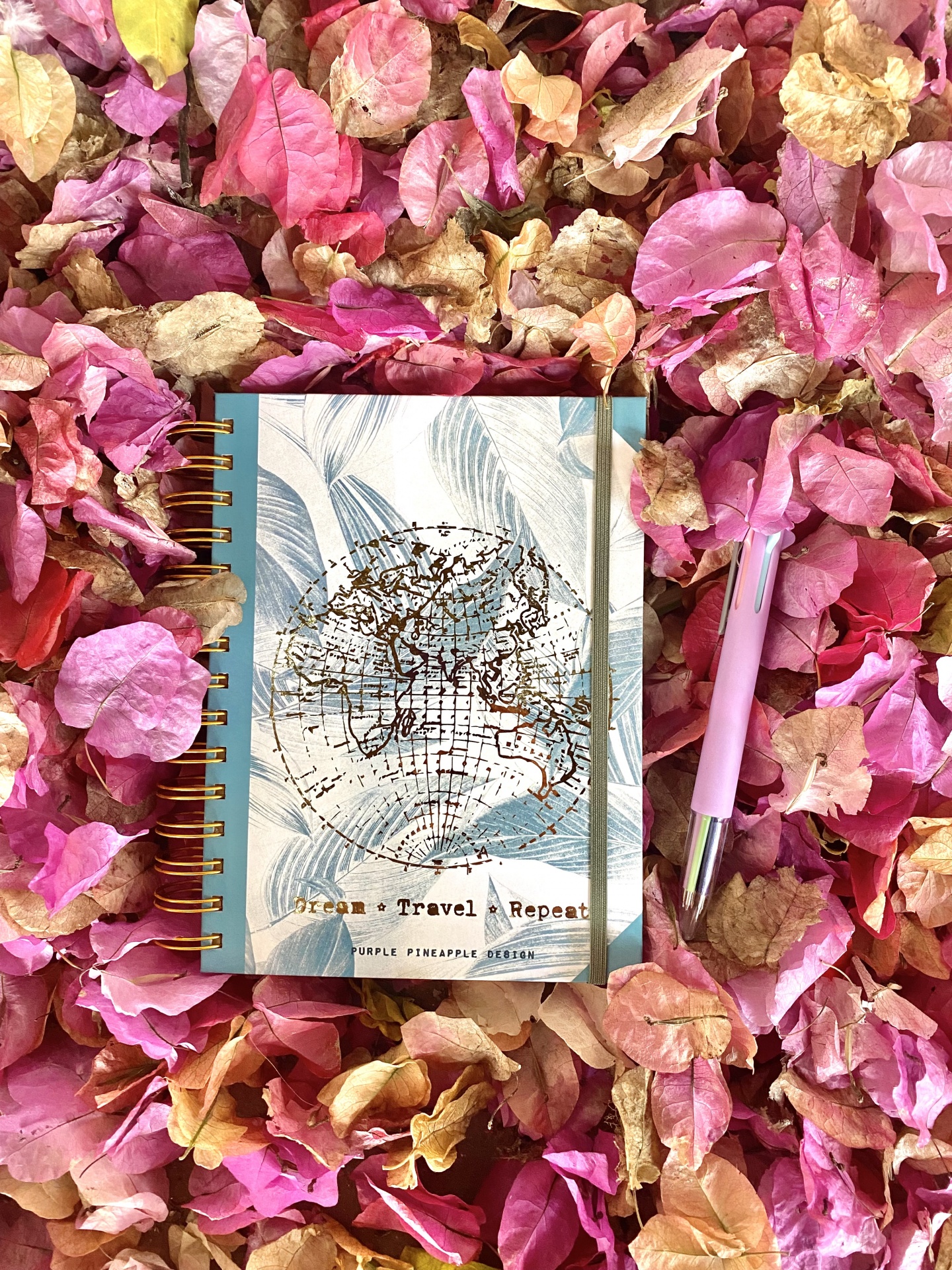 Diário de Bordo ✨ Dream Travel Repeat ✨