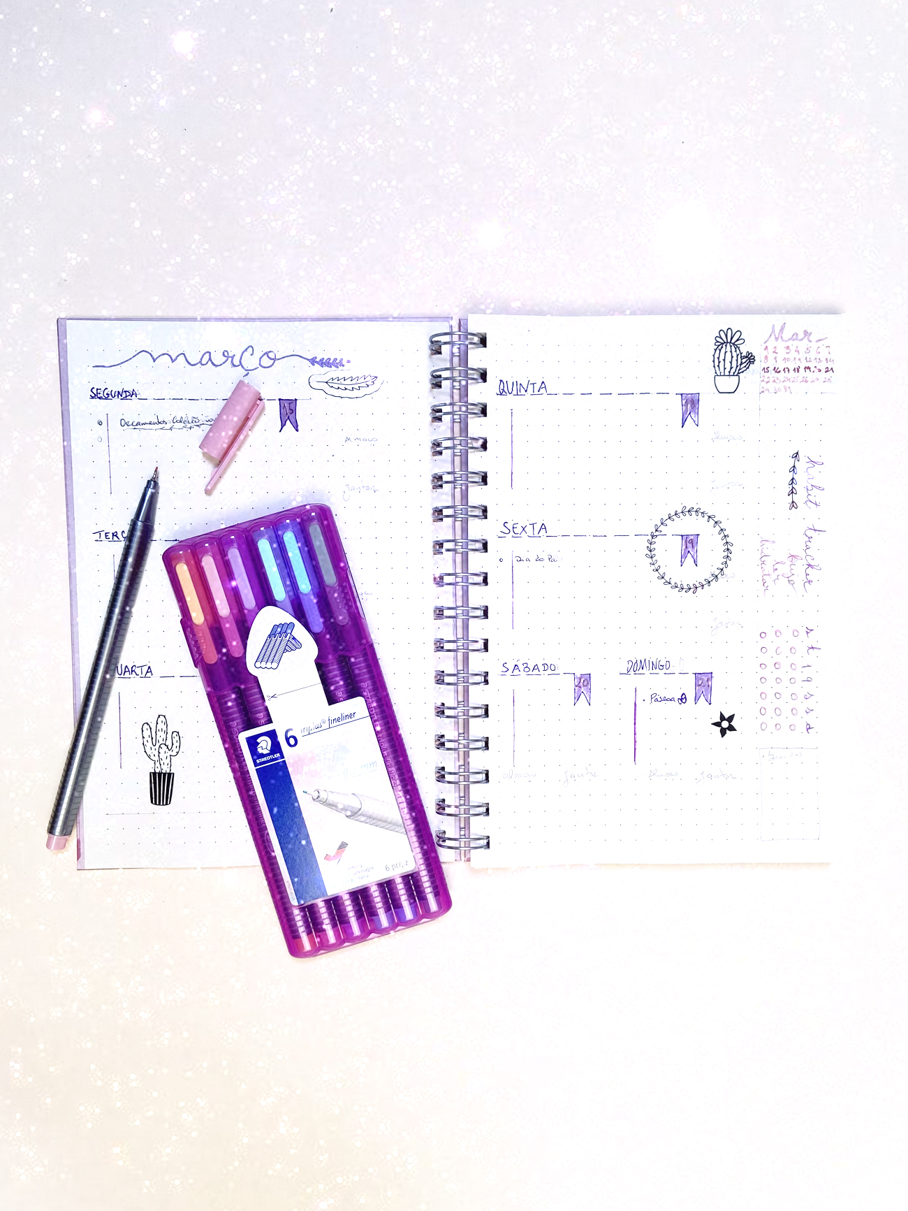 Caderno aberto com canetas coloridas, lápis e borracha, mostrando planejamento semanal em português.