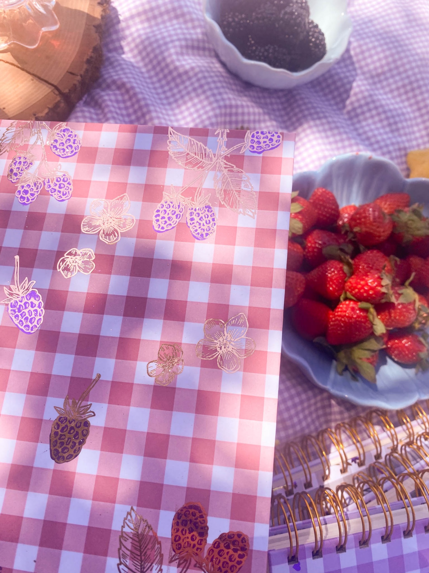 Vichy Vermelho Amoras 💜 Bullet journal