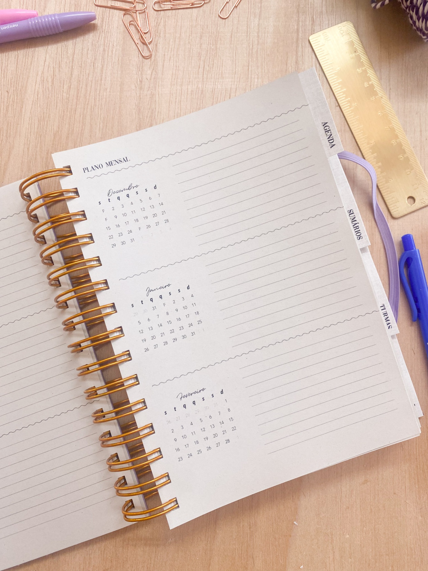 Agenda de Professor 2025/2026 🌹 Liberdade em Flor 💖 A4 e A5