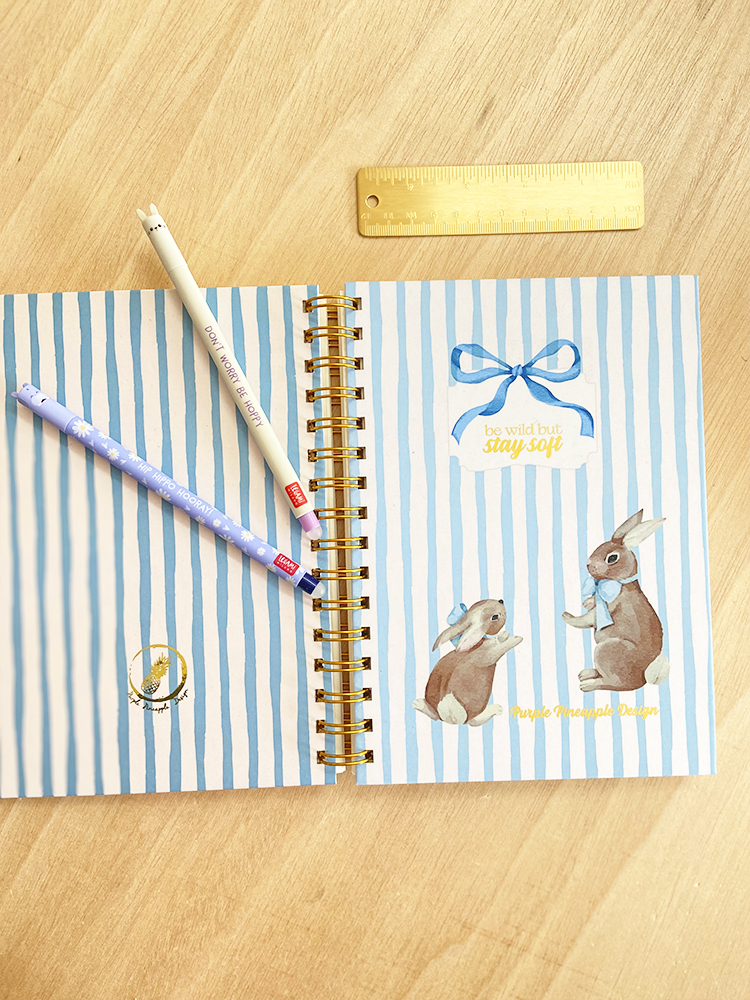 Stay soft 🐇 Diário de Gratidão