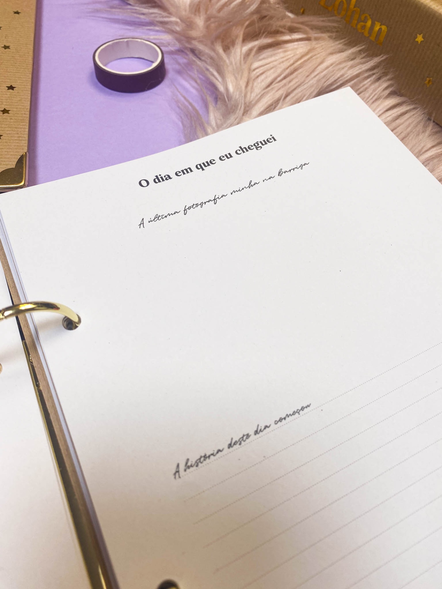 As minhas primeiras Aventuras Kraft - Dossier de Bebé