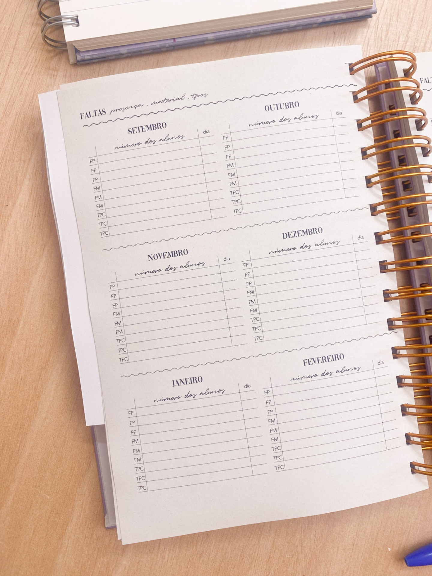 Agenda de Professor 2025/2026 🌹 Liberdade em Flor 💖 A4 e A5