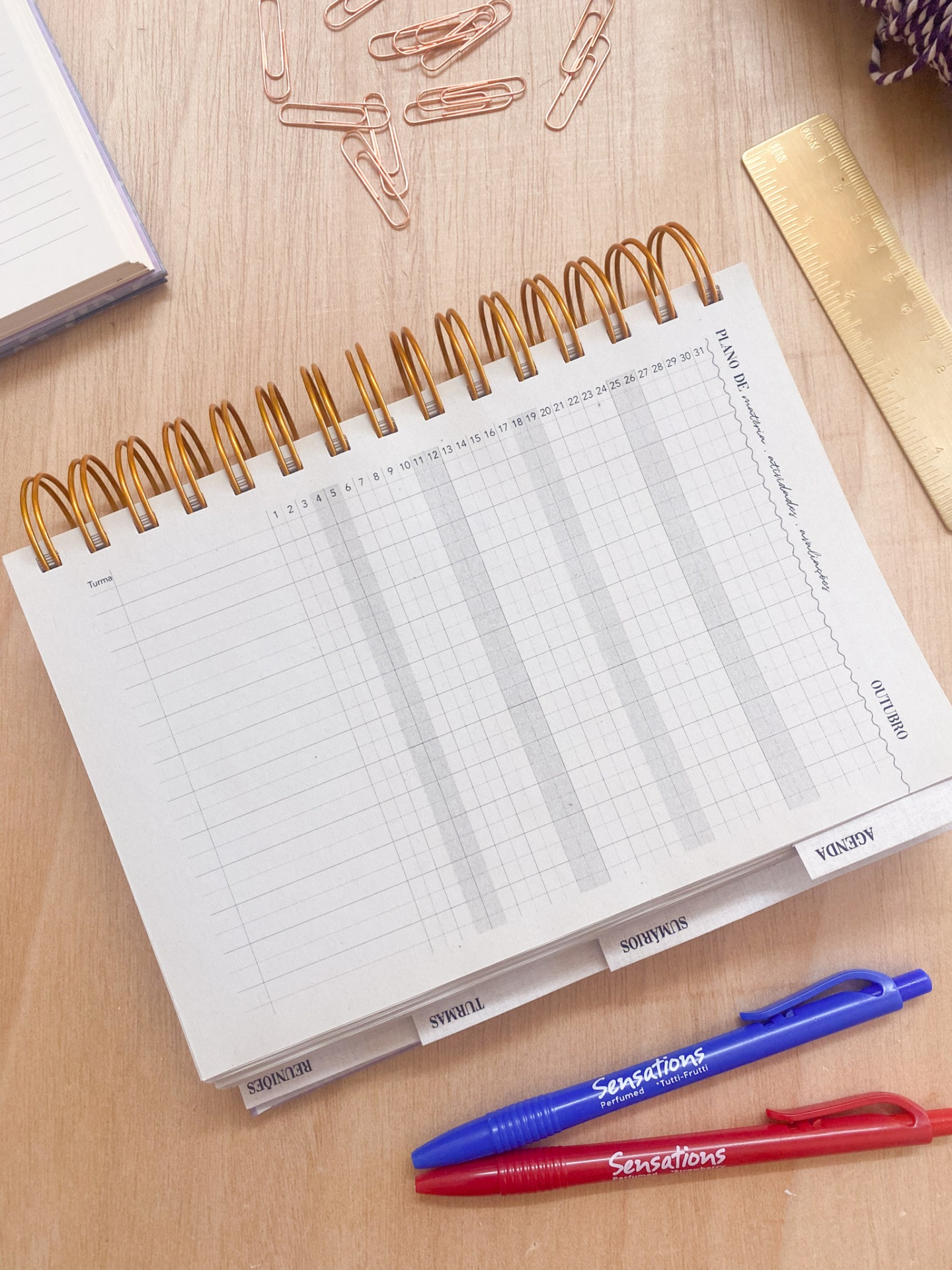 Agenda de Professor 2025/2026 🌹 Liberdade em Flor 💖 A4 e A5