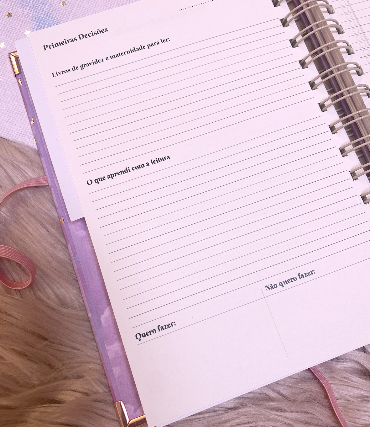 Agenda de grávida — A minha melhor aventura