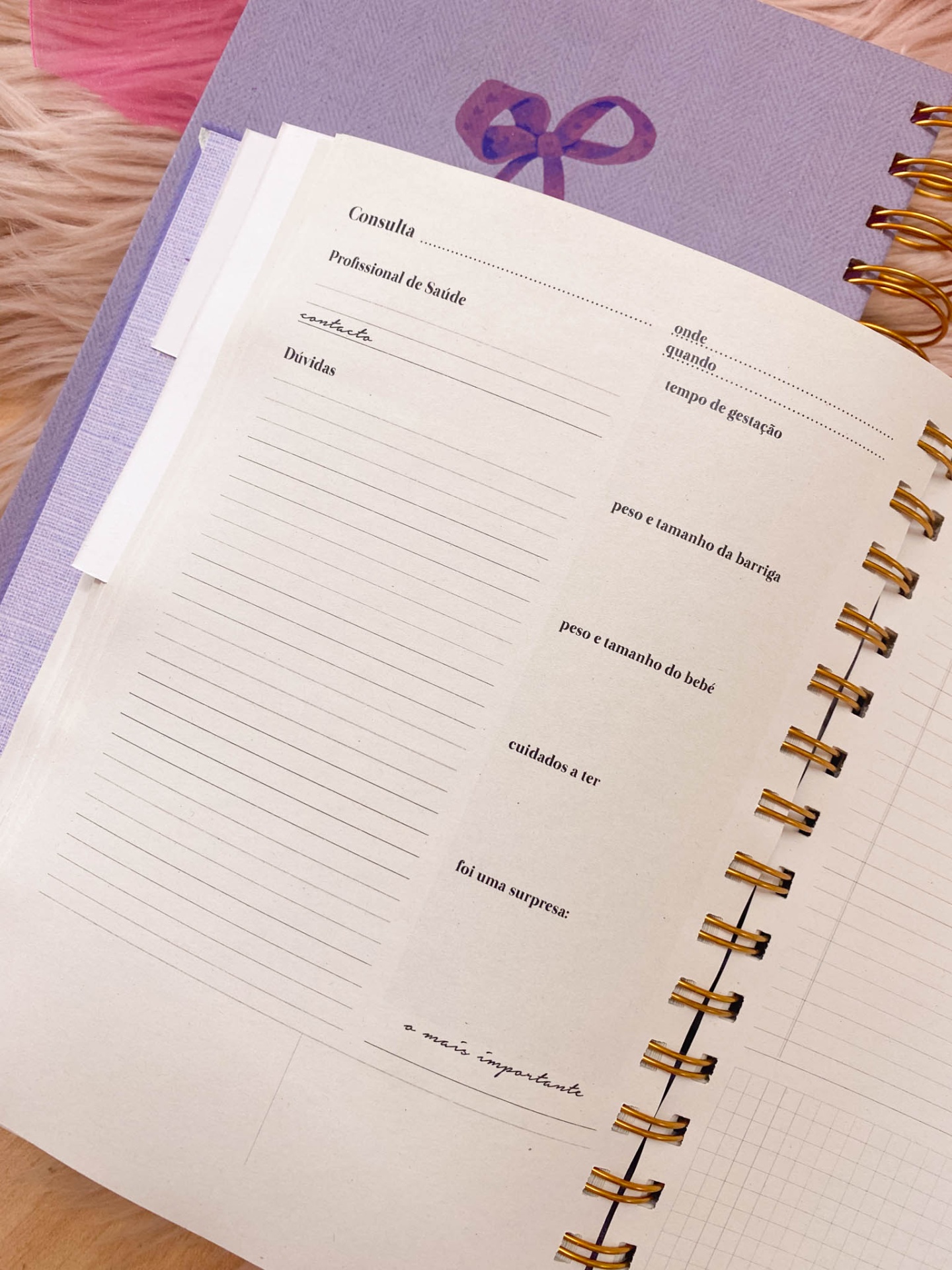 Agenda de grávida 💜🎀