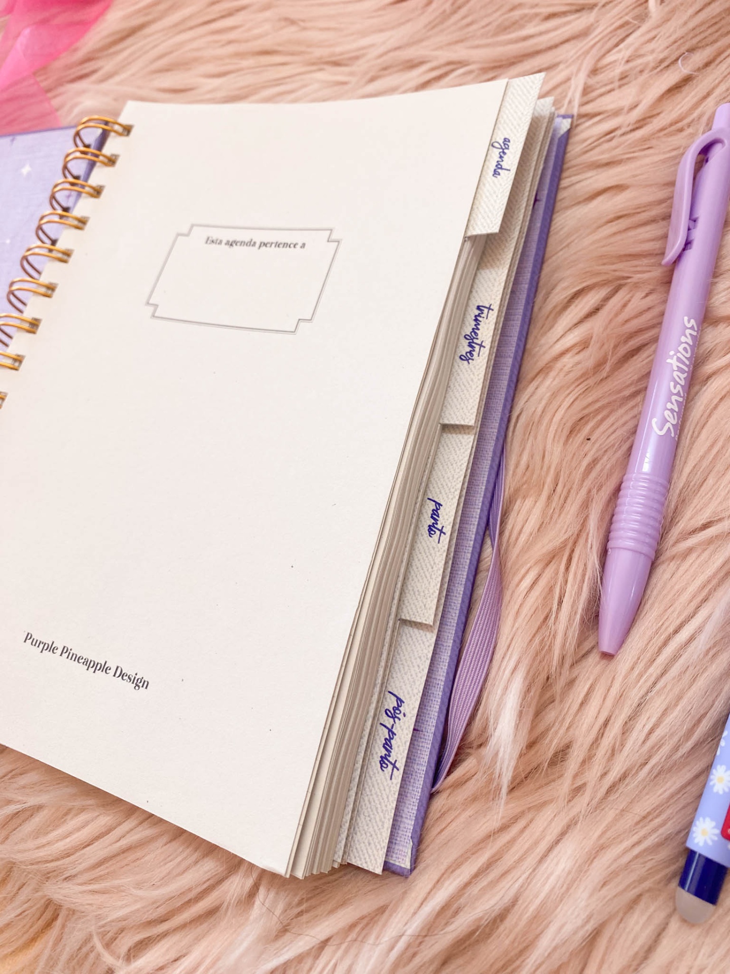 Agenda de grávida 💜🎀