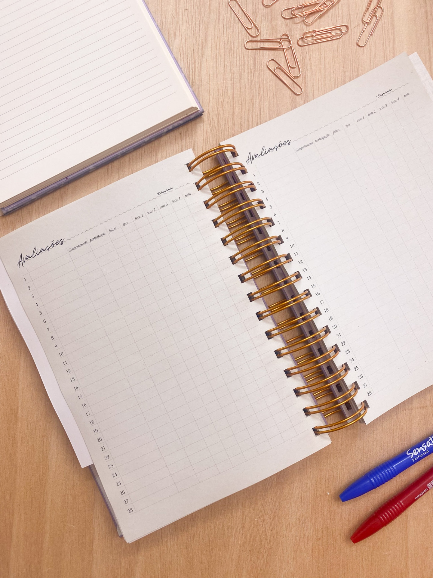 Agenda de Professor 2025/2026 🌹 Liberdade em Flor 💖 A4 e A5