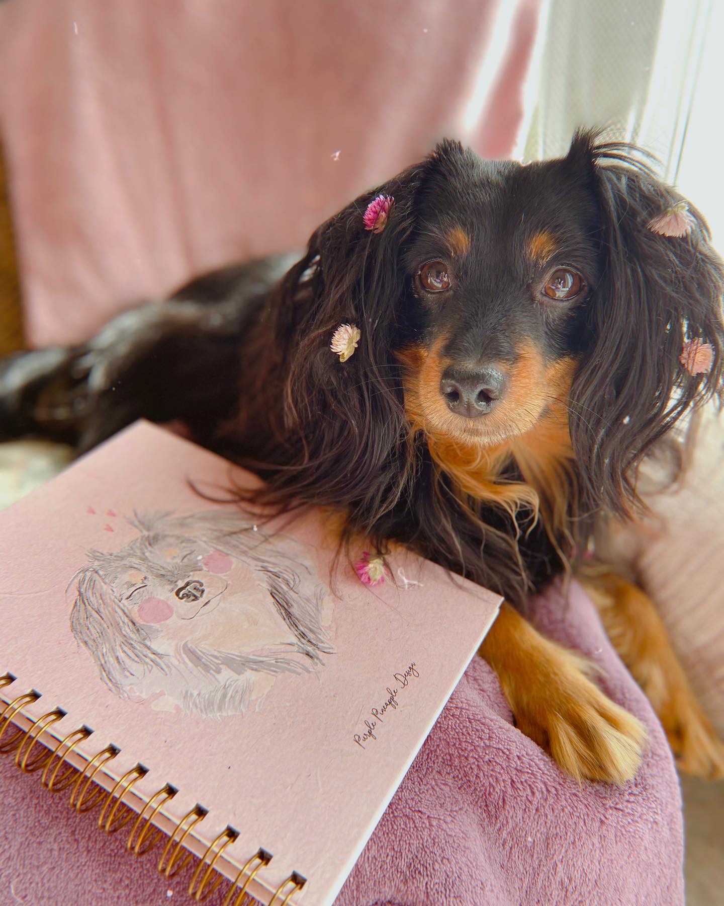 ✧ Cadela Minnie ✧ Bullet Journal