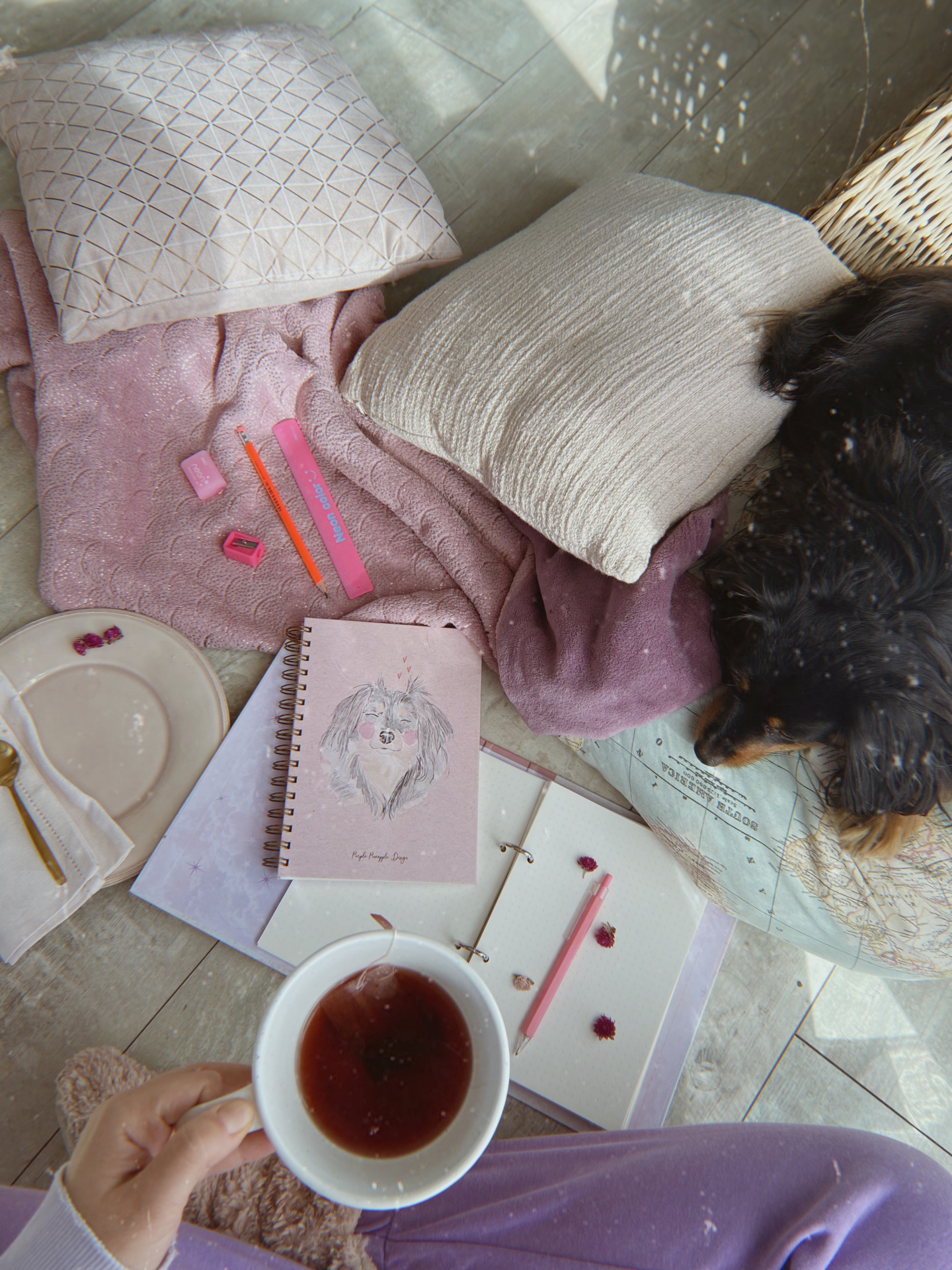 ✧ Cadela Minnie ✧ Bullet Journal