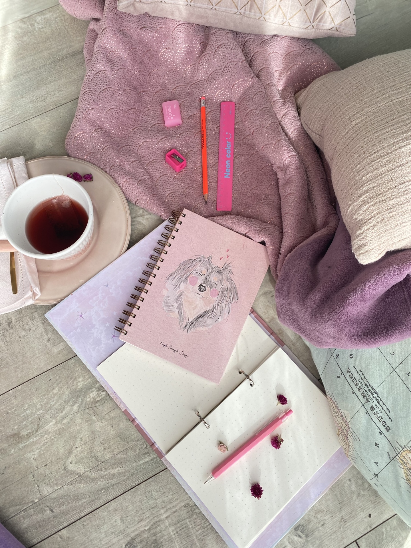 ✧ Cadela Minnie ✧ Bullet Journal