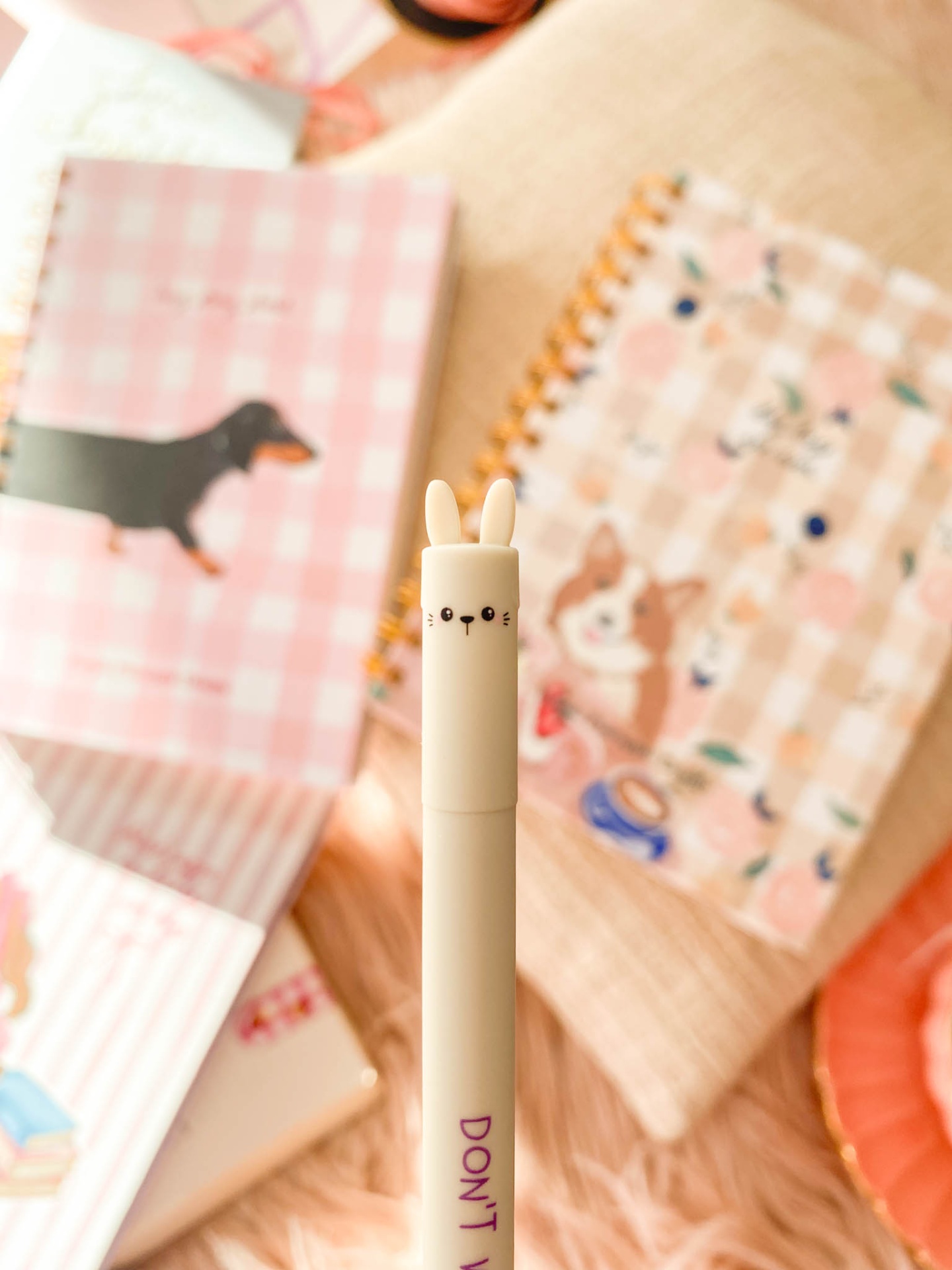 Coelho 🐰  Caneta apagável