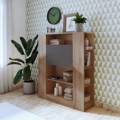 Estante de madeira clara com porta cinzenta, prateleiras com objetos decorativos e planta alta ao lado