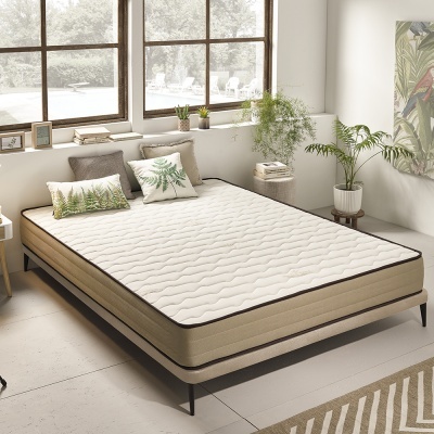 Colchão bege com borda preta numa estrutura de cama, almofadas decorativas verdes e branco, plantas e janelas no fundo