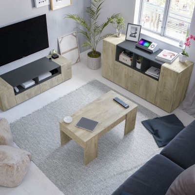 Sala de estar com móveis modernos em madeira clara e detalhes em preto, tapete cinza e planta verde