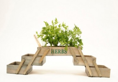 Mini Horta - Terra e Sementes incluídas