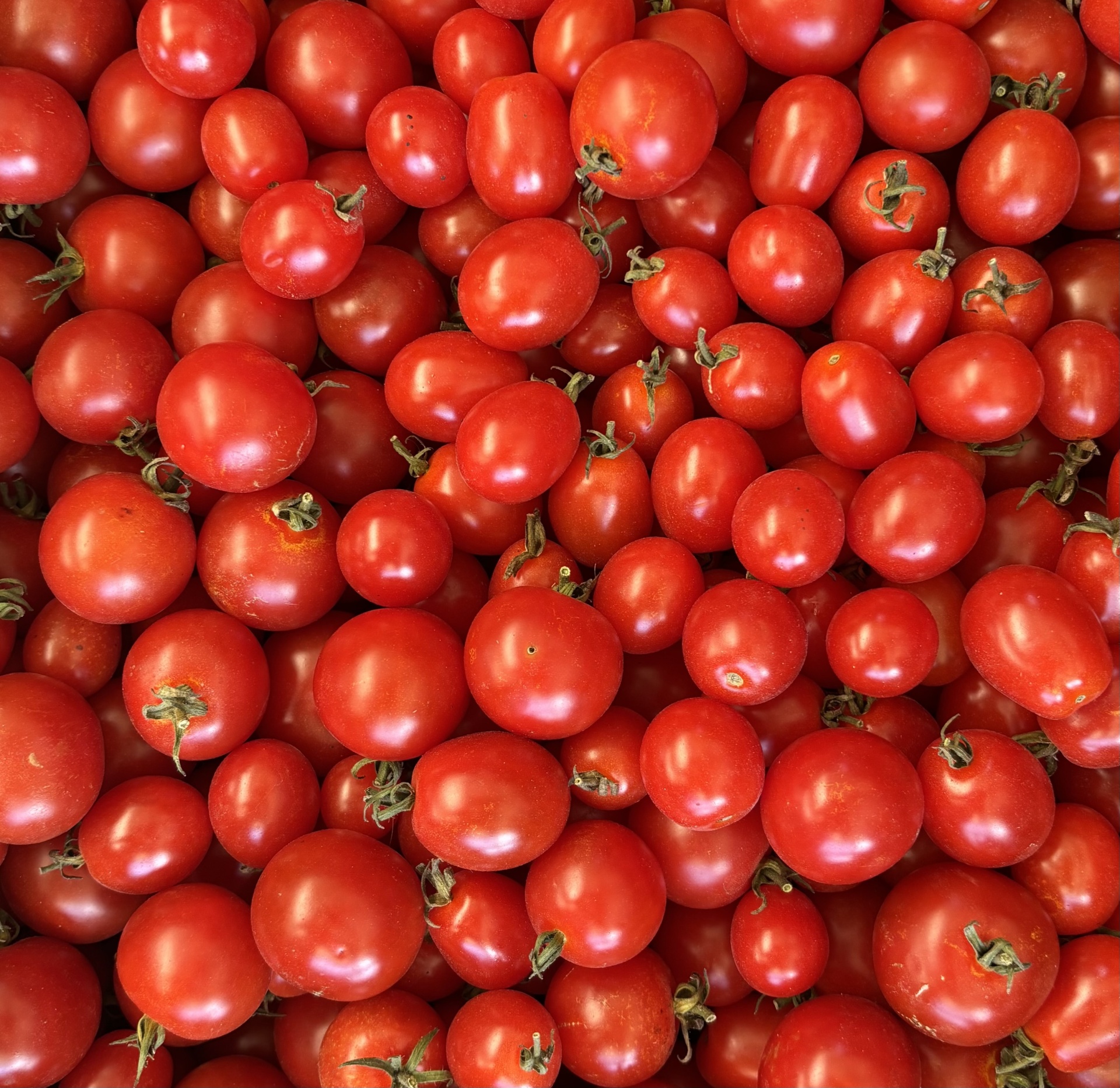 Tomate Cherry Vermelho