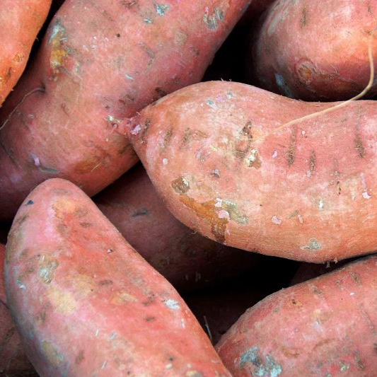 Batata Doce Laranja