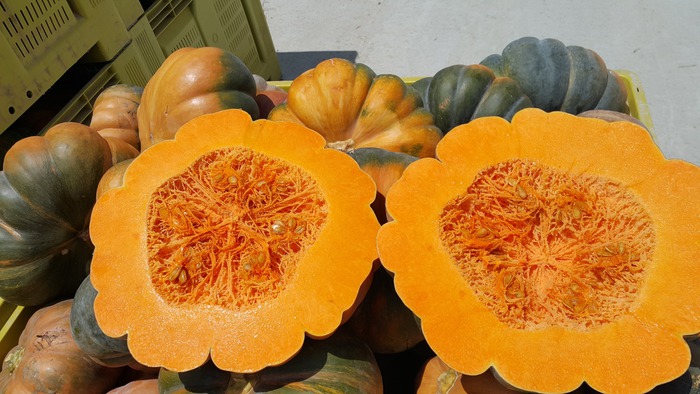 Ab&#x00F3;bora&#x20;Fatiada&#x20;&#x00B1;500g