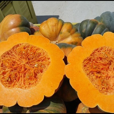 Ab&#x00F3;bora&#x20;Fatiada&#x20;&#x00B1;500g