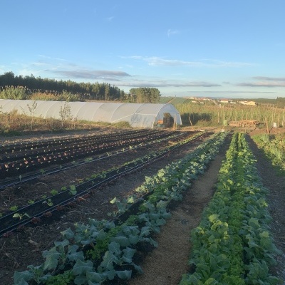 Cabaz&#x20;da&#x20;Semana&#x20;&#x7C;&#x20;SUBSCRI&#x00C7;&#x00C3;O