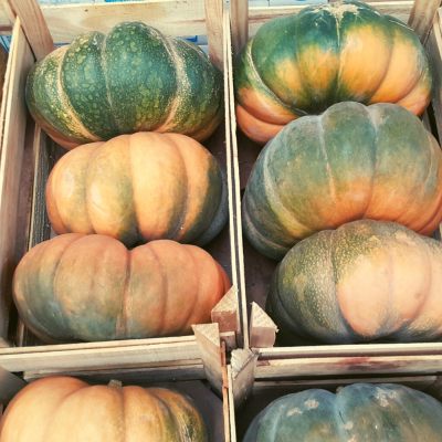 Ab&#x00F3;bora&#x20;Muscat&#x20;de&#x20;Provence&#x20;Inteira